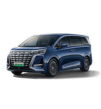 2024款人生就是搏尊龙D9