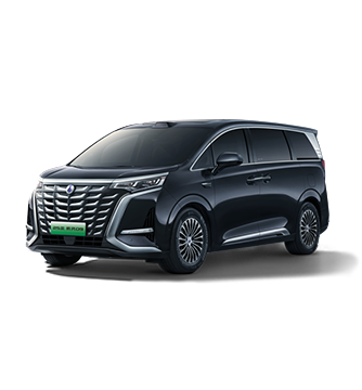 2025款人生就是搏尊龙D9